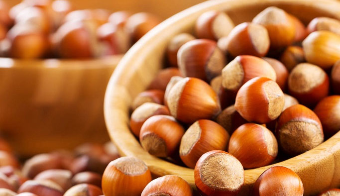 Fındıkta üreticinin korkulu rüyası!