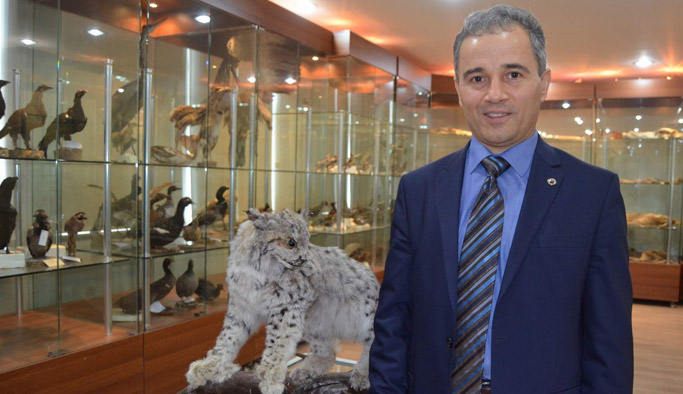 Trabzon'dan önemli uyarı: Yaban hayvanlarını yemlerken dikkat