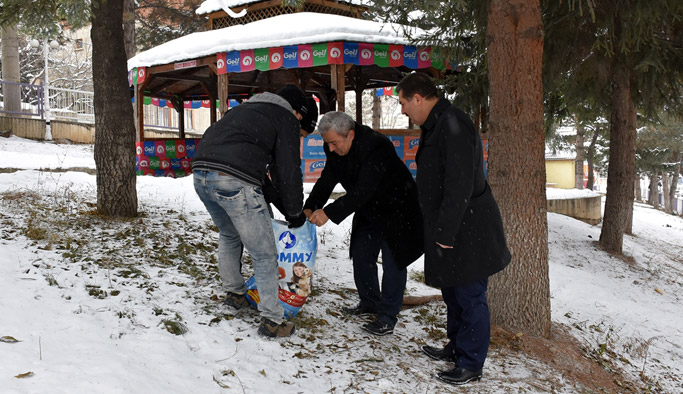 Gümüşhane'de sokak hayvanları unutulmadı