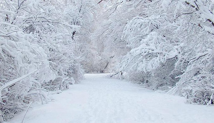 Kar Rize ve Artvin'i vurdu