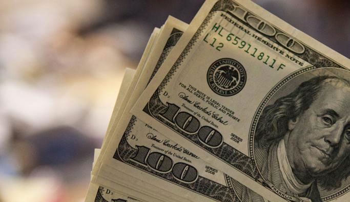 Vatandaş toplam ne kadar dolar bozdu?