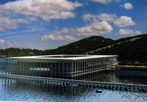 Akyazı projesi hayal mi ?