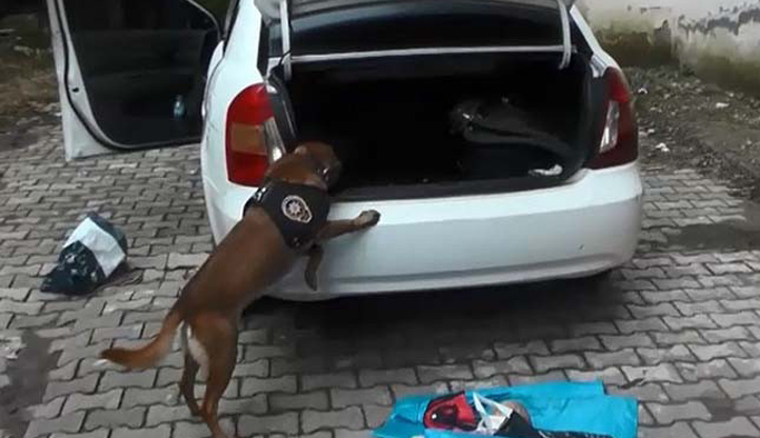 Giresun'da 9 ayrı adrese baskın: 7 kişi gözaltında