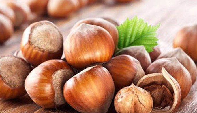 Fındıkta henüz beklenen olmadı