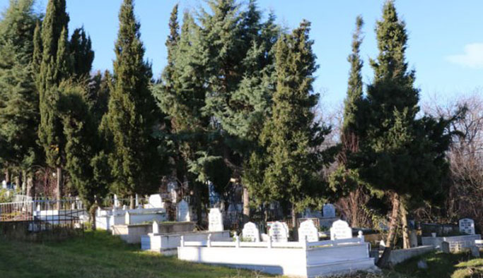 Dolandırıcı muhtar ormanlık alanı mezar yeri diye satmış