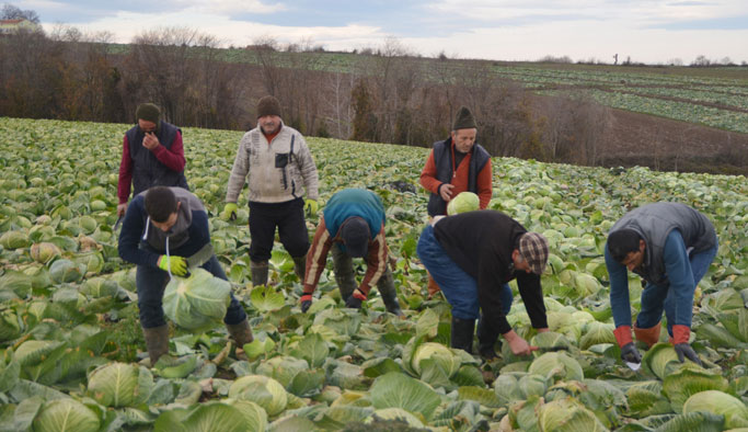 Üreticiler raftaki fiyattan şikayetçi