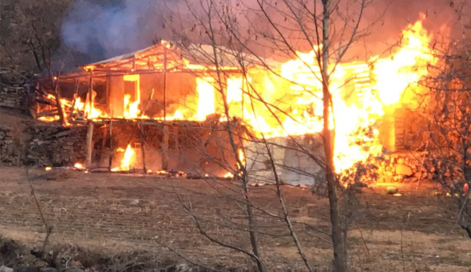 Artvin'de çıkan yangında ev kül oldu