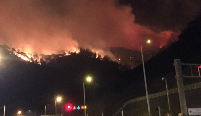 Sürmene Çamburnu’nda Orman Yangınına Ekipler Müdahale Ediyor