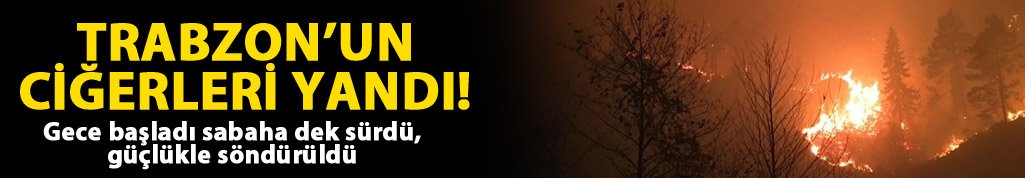 Sürmene'deki yangında son dakika!