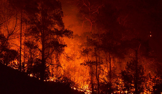 Sürmene yangınında ne kadar alan yandı?