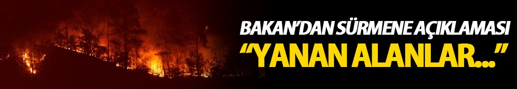 Bakan Eroğlu'dan Sürmene açıklaması: "Yanan alanlar..."