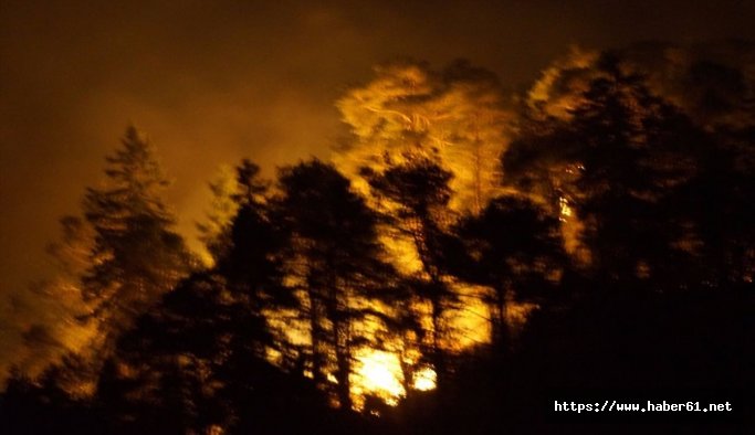Bilim dünyası Sürmene için seferber oldu