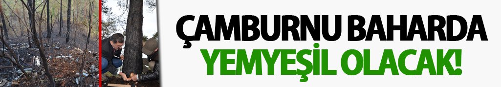 Çamburnu Baharda yemyeşil olacak!