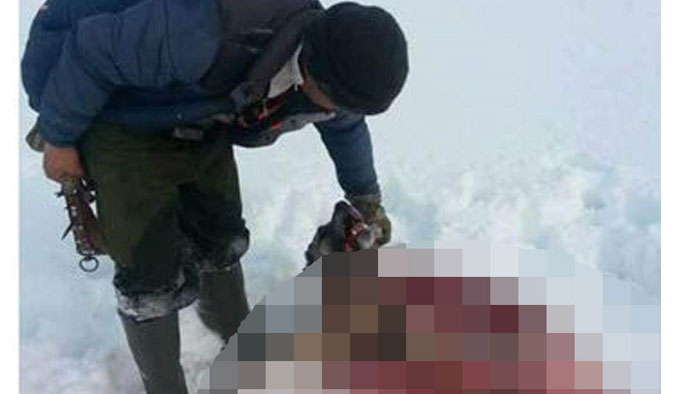 Aç kurtlar çoban köpeğini yedi