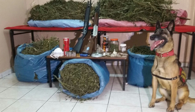 Rize’de 13 kilo esrar ele geçirildi