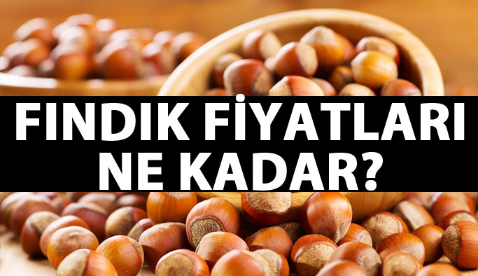 Fındık fiyatları kaç TL? Fındık fiyatı ne kadar
