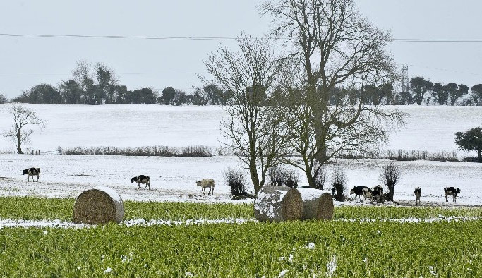 Soğuk ve kar tarımı vurdu!