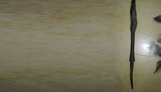 Karadeniz'de bulundu! Tam 4 bin yıllık...