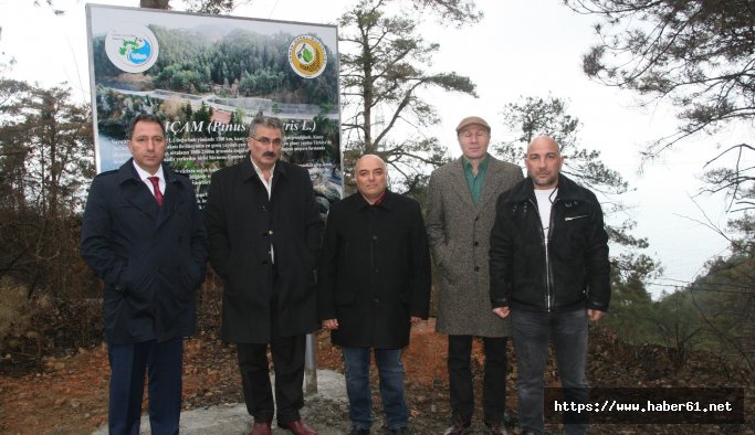 AK Parti ve CHP belediyeleri “Çamburnu” için el ele verecek 
