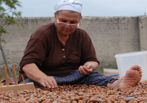 Fındık borsasında lider kim
