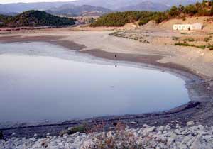 Sinop'ta Toplu Balık Ölümleri