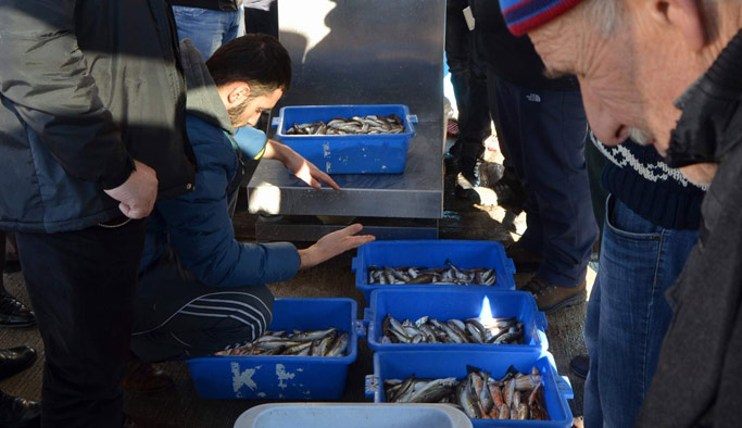 Hamsiye Oda çare olmadı!