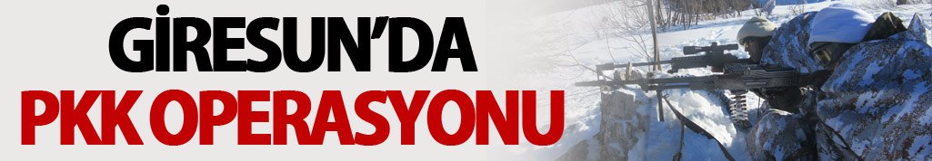 Giresun'da PKK operasyonu