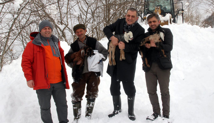 Trabzon'da 2 çoban ve 250 hayvan karda mahsur kaldı!