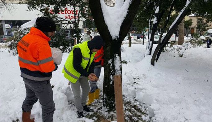 Trabzon'da hayvanlar unutulmadı!