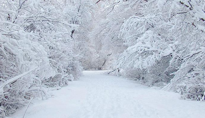 Meteorloji'den Doğu Karadeniz için önemli uyarı!