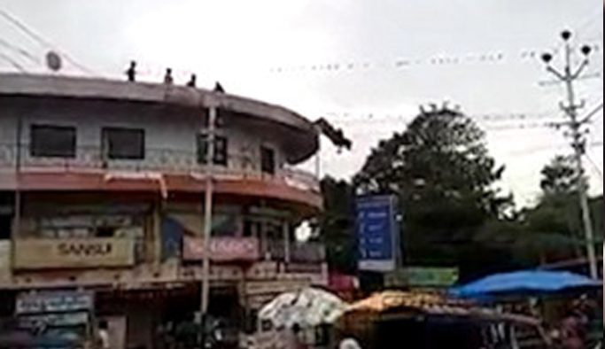 Hindistan'da inek intihar etti!