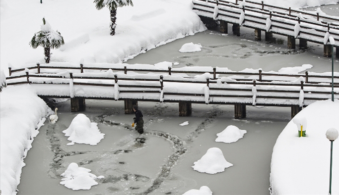 Trabzon'da kuğuları kurtaran işçi konuştu: "Önceliğimiz..."