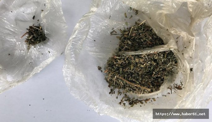Giresun'da torbacılar deşifre edildi
