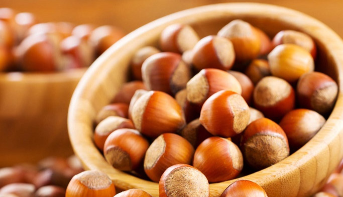 Giresun'da fındık tartışması