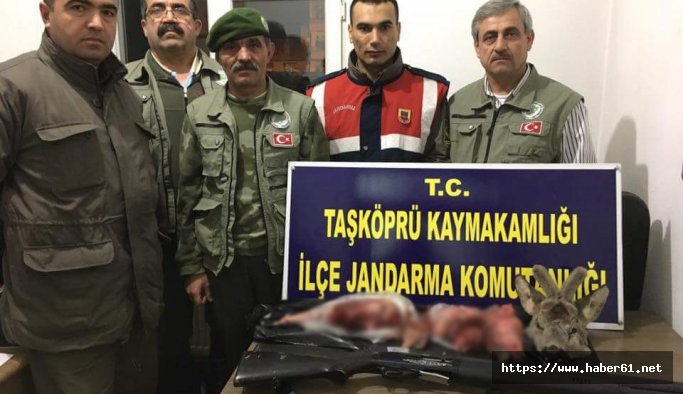 Karaca avlayanlara büyük para cezası