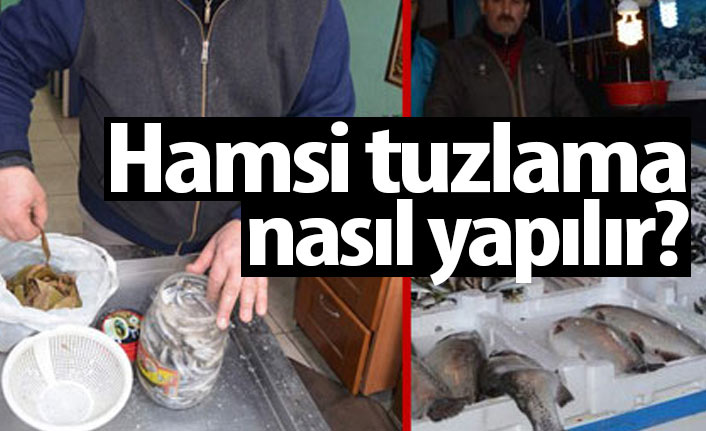Hamsi Tuzlama nasıl yapılır? Hamsi tuzlama tekniği