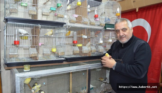 Böyle kuş sevgisi görülmedi