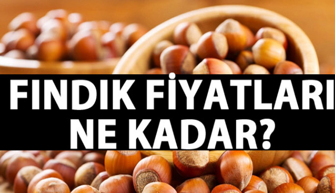Fındık fiyatları ne kadar oldu? Fındık fiyatında son durum 13.02.2017