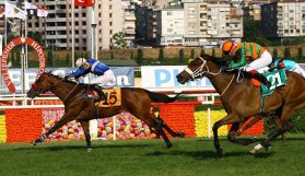 Türkiye Jokey Kulübü Varlık Fonu'na devredildi