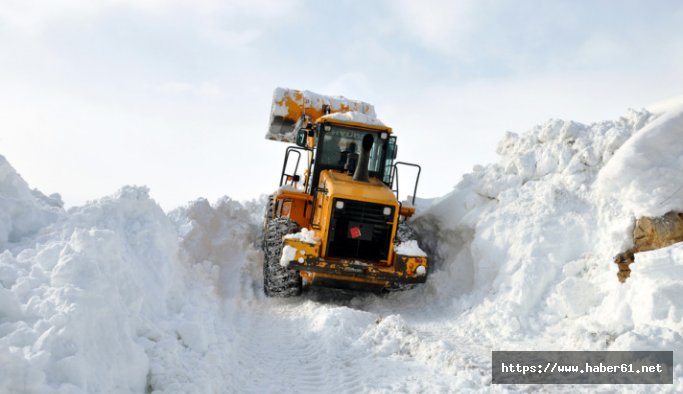 Doğu Karadeniz'de kar esareti