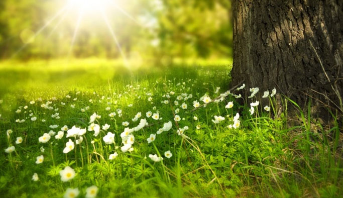 İlk cemre ne zaman düşecek - Cemre Nedir?