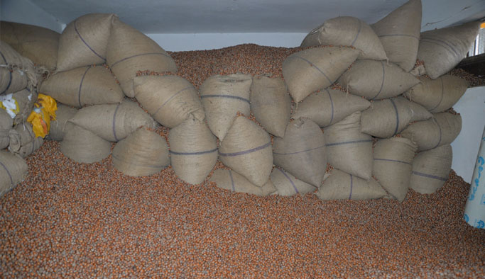 Fındık üreticisinin yüzünü güldürecek uygulama