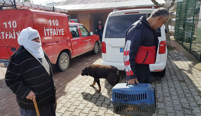Giresun'da yaşlı kadının hayvan sevgisi