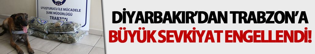 Diyarbakır'dan Trabzon'a zehir tacirliği