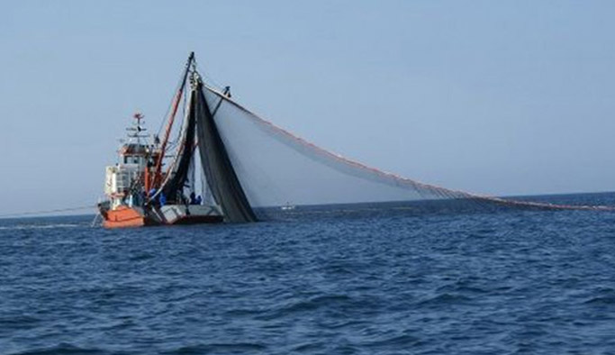 Türkiye'de ilk sırada Doğu Karadeniz'de!
