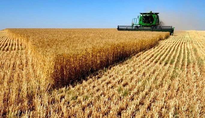 Çiftçilere destek ödemeleri başladı