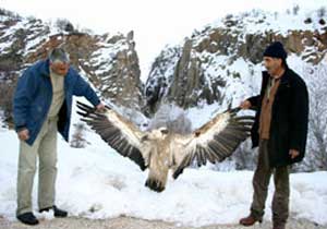 Trabzon'da doğa hayvanı müzesi