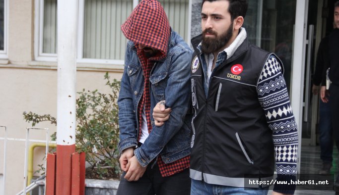 Samsun'da bonzai operasyonu