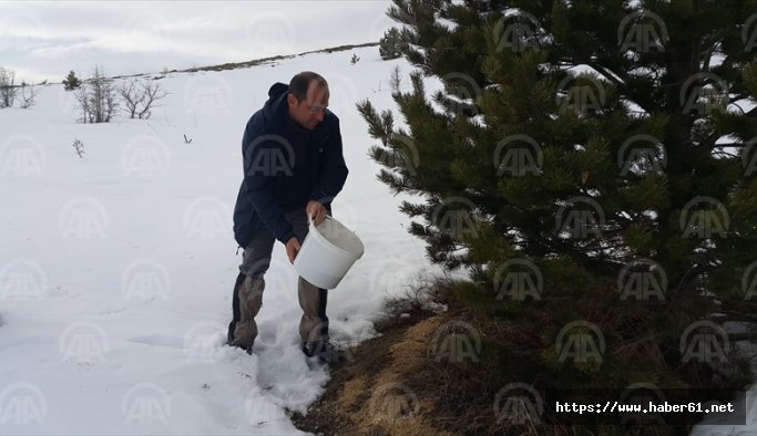 Şebinkarahisar'da yaban hayvanları için doğaya yem bırakıldı