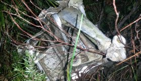 Düşen savaş uçağının pilotu bulundu!